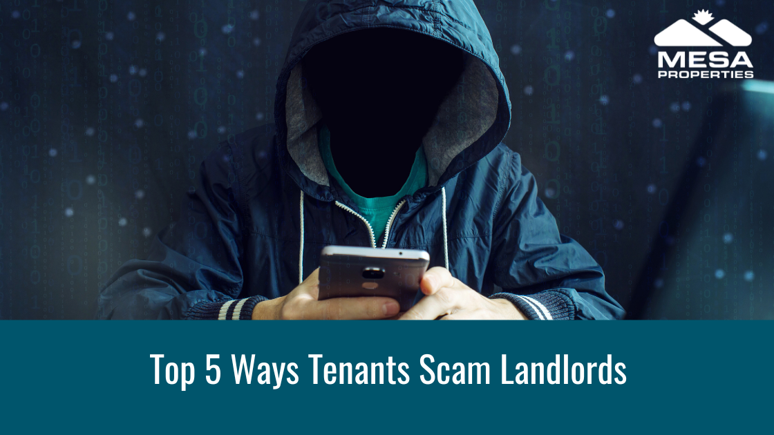 Top 5 Ways Tenants Scam Landlords